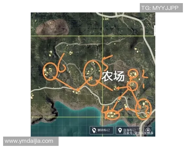 RNG在和平精英赛事中的防守表现分析与战术得失探讨 RNG在和平精英赛事中的防守表现分析与战术得失探讨