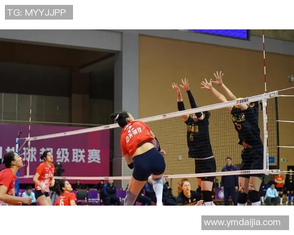 南京排球队心理素质创新高引发关注助力球队未来发展